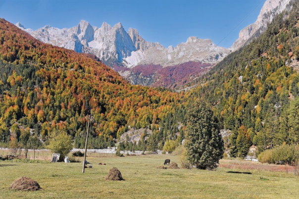 Valbona